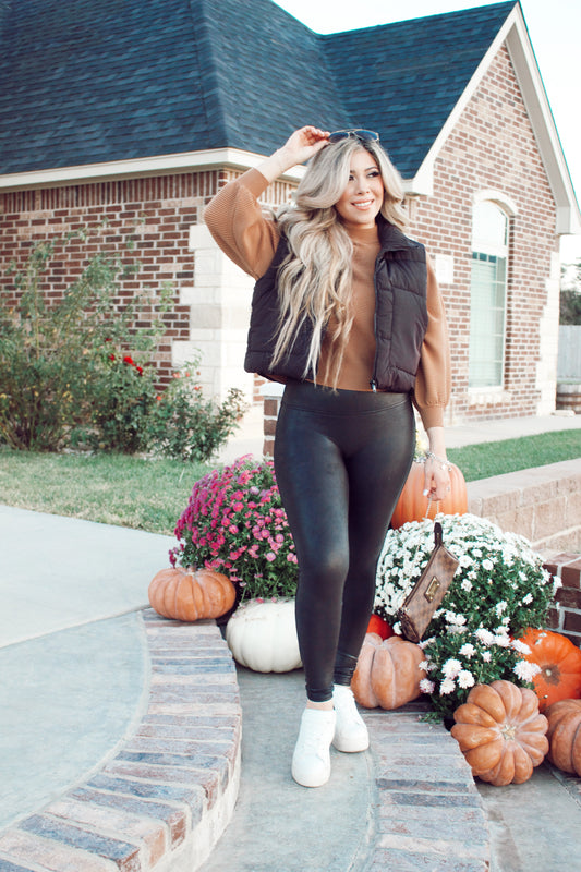 Snuggly Aesthetic Puffer Vest in Black