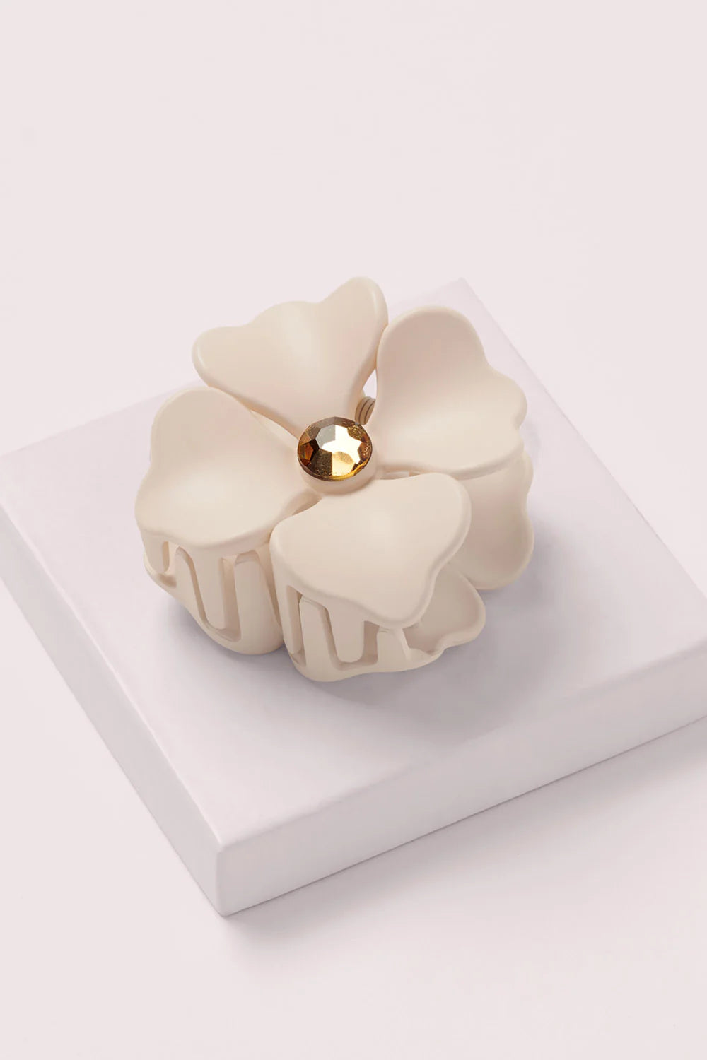 Camellia Cip