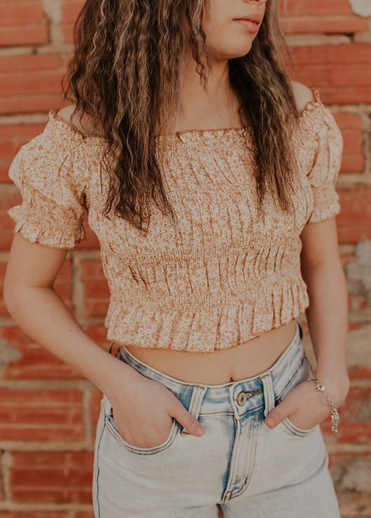 Claire Ginger Blouse